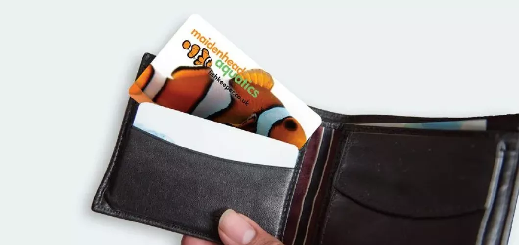 Switching to Prepaid Plastic Gift Cards Doubled Revenue Stream and Increased Security