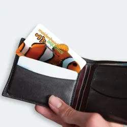 Switching to Prepaid Plastic Gift Cards Doubled Revenue Stream and Increased Security